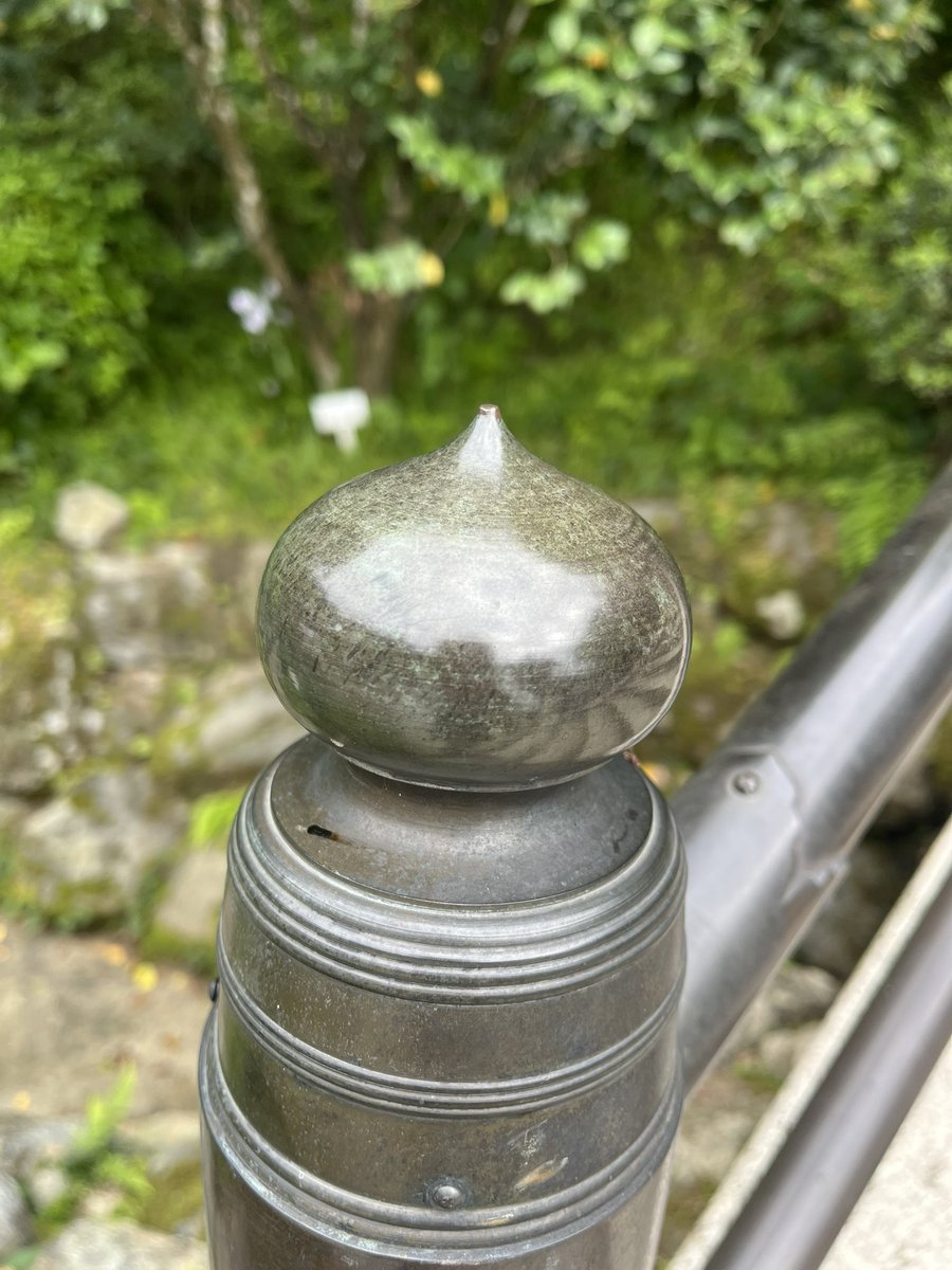 あおい tweet media