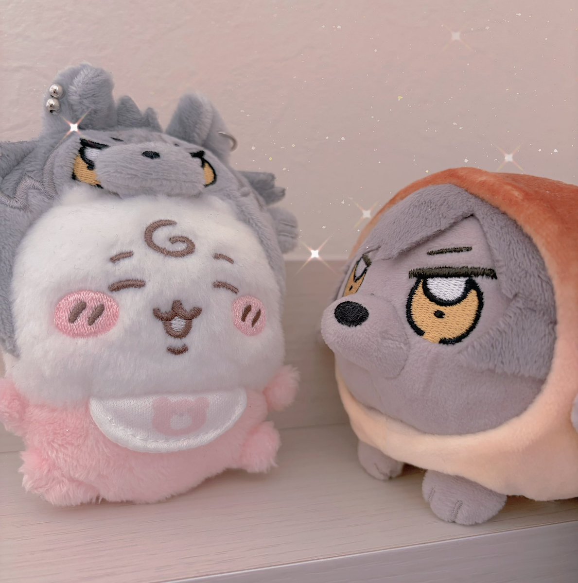 ｷｬｯｷｬｯ🎶