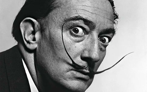 Lucas Shalom tweet media