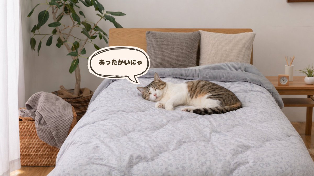 SleepyBuddy tweet media