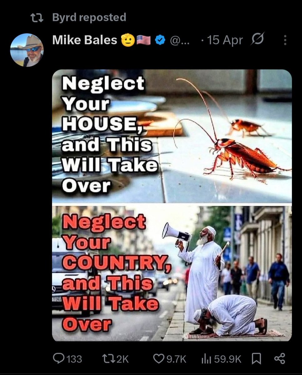 Hanna-Barbaro Cavernario tweet media