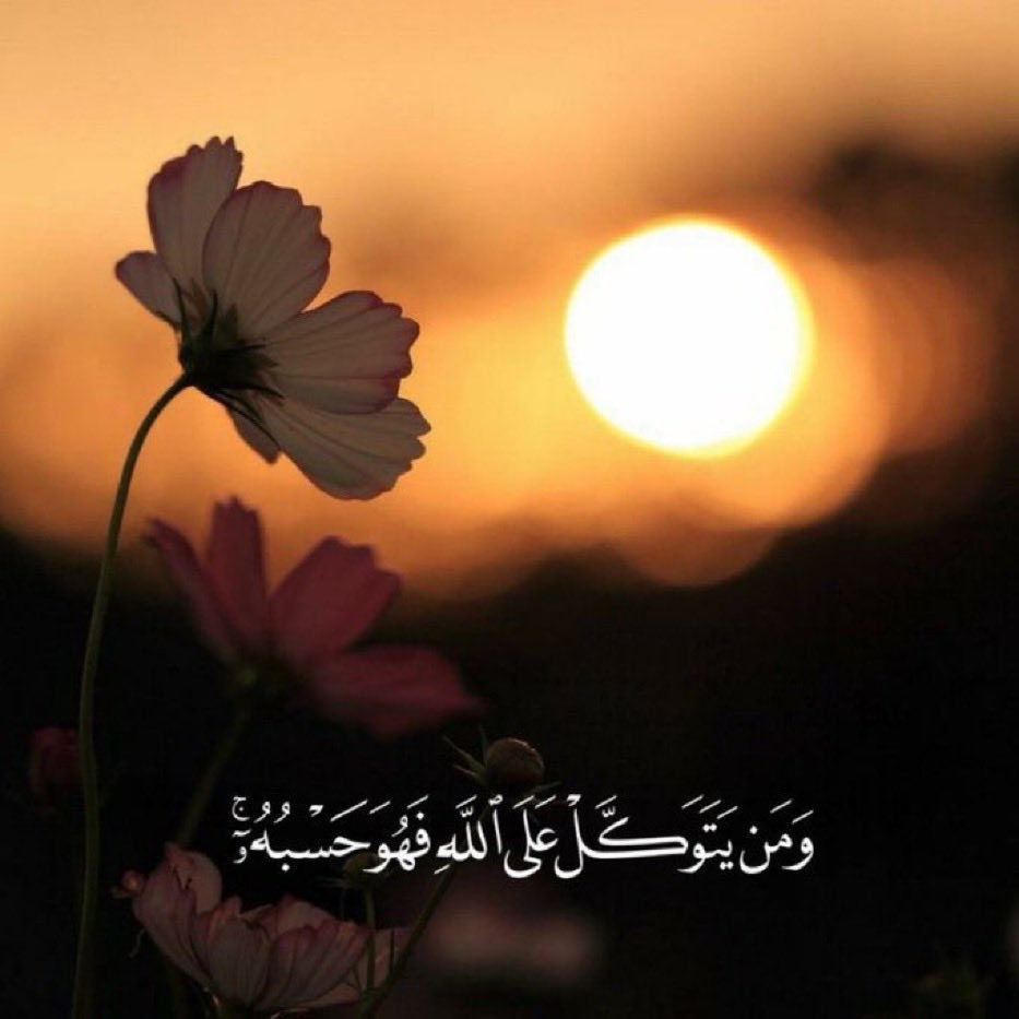 صالحه غالب tweet media