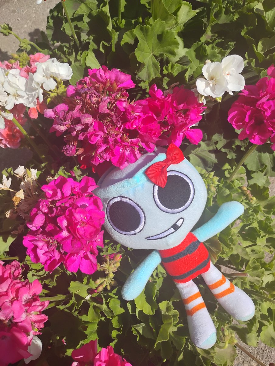 1OO (PINK FINN) tweet media