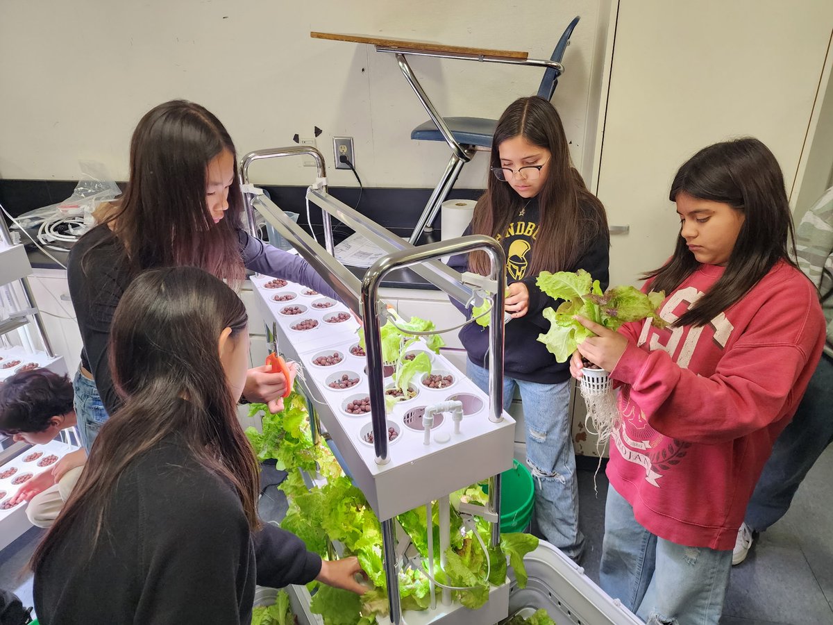 CA Green Ribbon tweet media