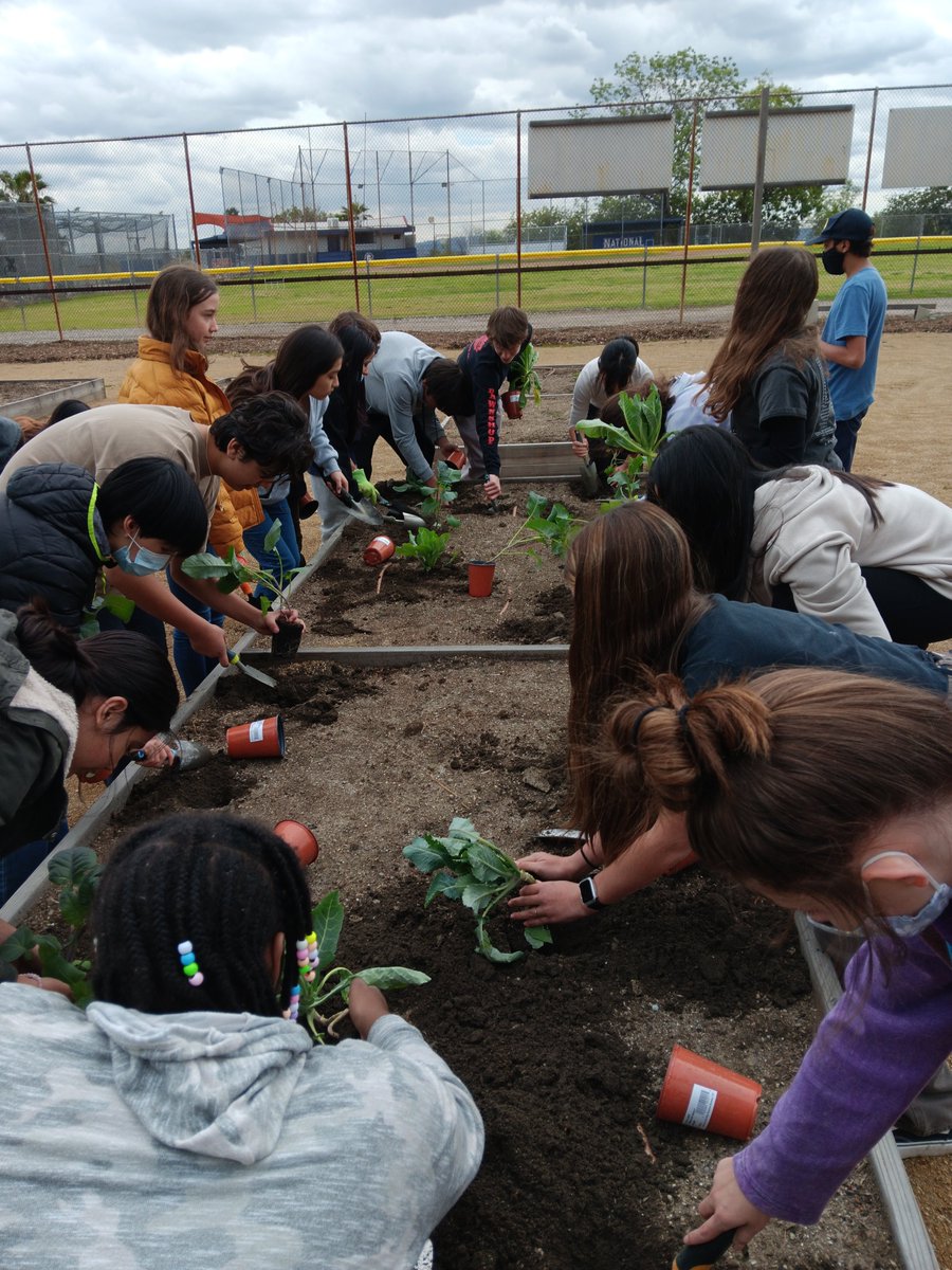 CA Green Ribbon tweet media