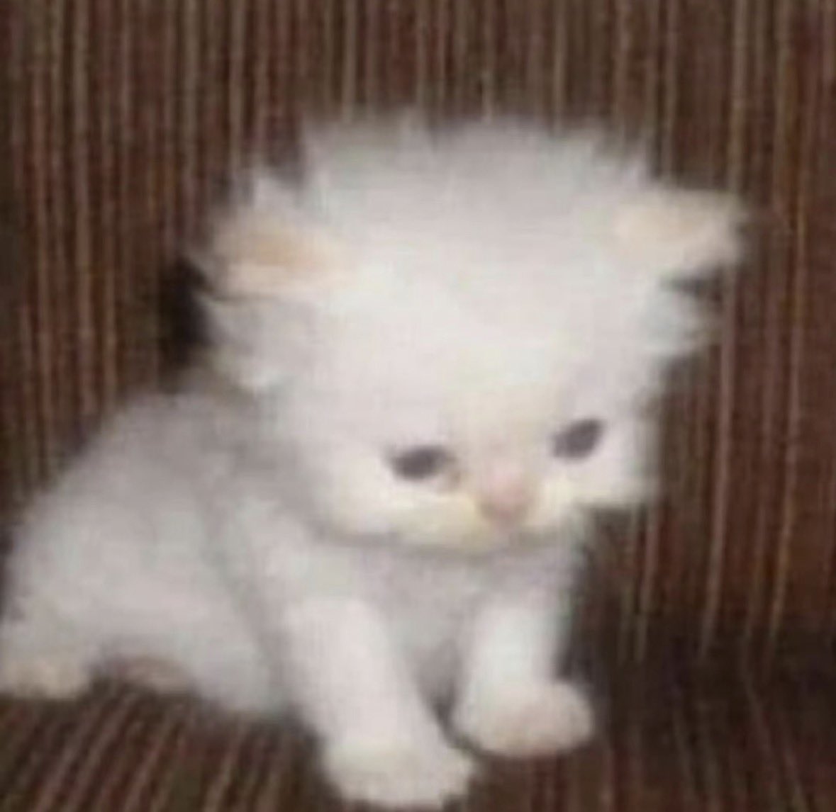 소은이 tweet media