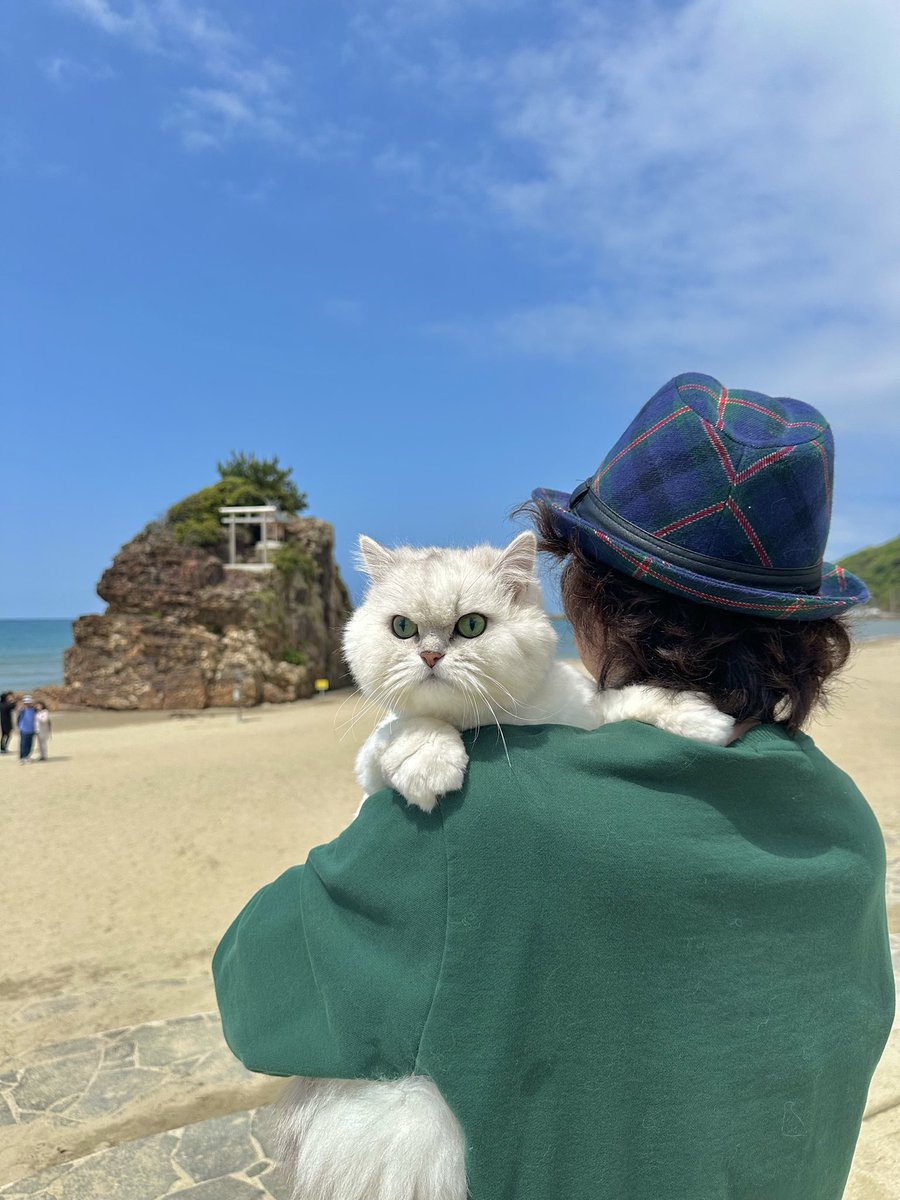 ふわも tweet media