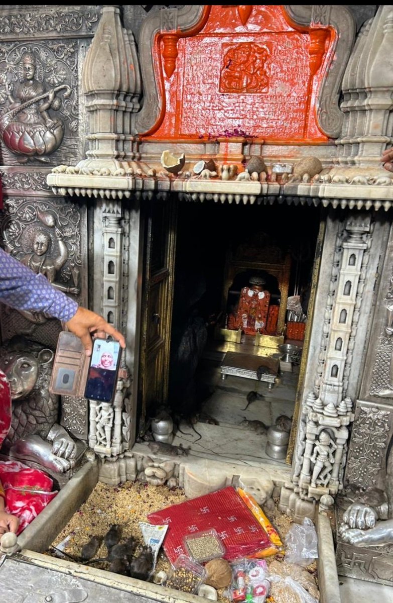 जपै निरन्तर जोगणी, धरै अहरनिस ध्यान..! उण भोळा रौ आवड़ा, किकण वैं नुकसान..!! जय सर्वेश्वरी करणी माँ 
॥ श्री करणी शरणम ॥
जय मां करणी 🙏 
सुप्रभात 🍀