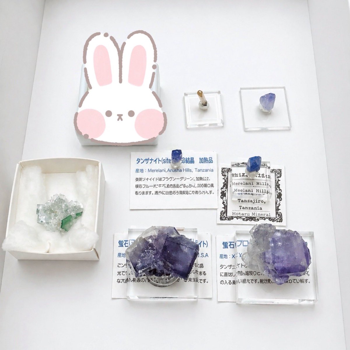 ねねち@ひとやすみ tweet media