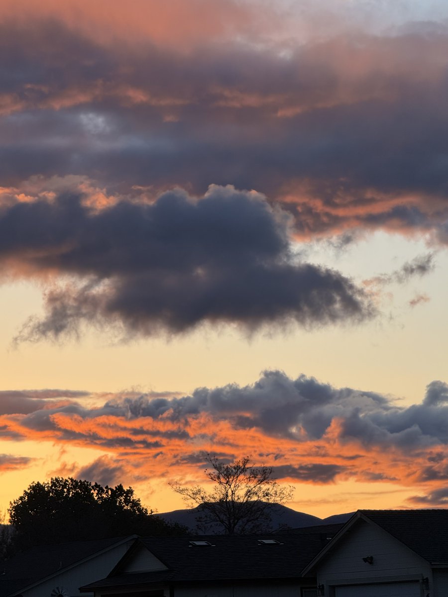 jonimarielew's tweet image. Sunset in the desert tonight. #Nevada #desert #clouds #red #skies #trees #golden