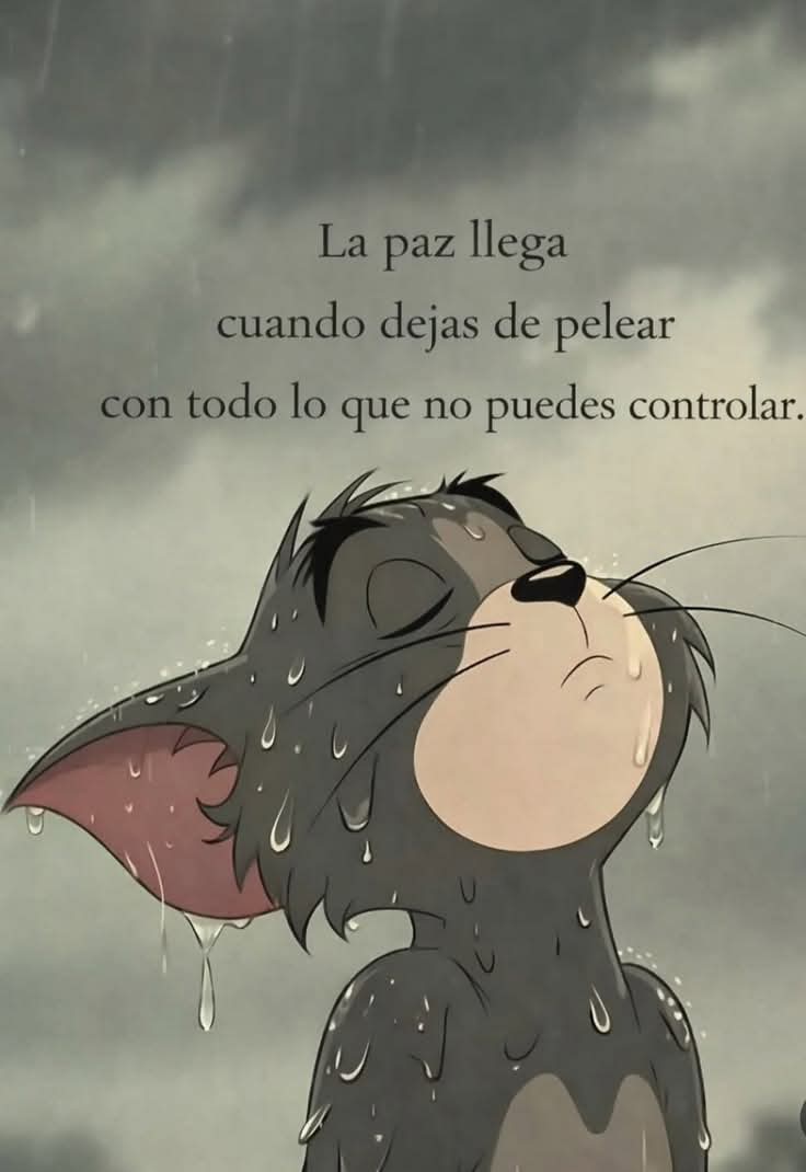 Lonely🥀 tweet media