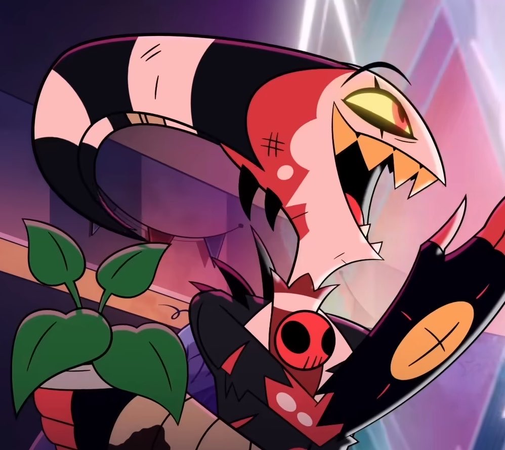 BUCKLE UP BUCKZO tweet media