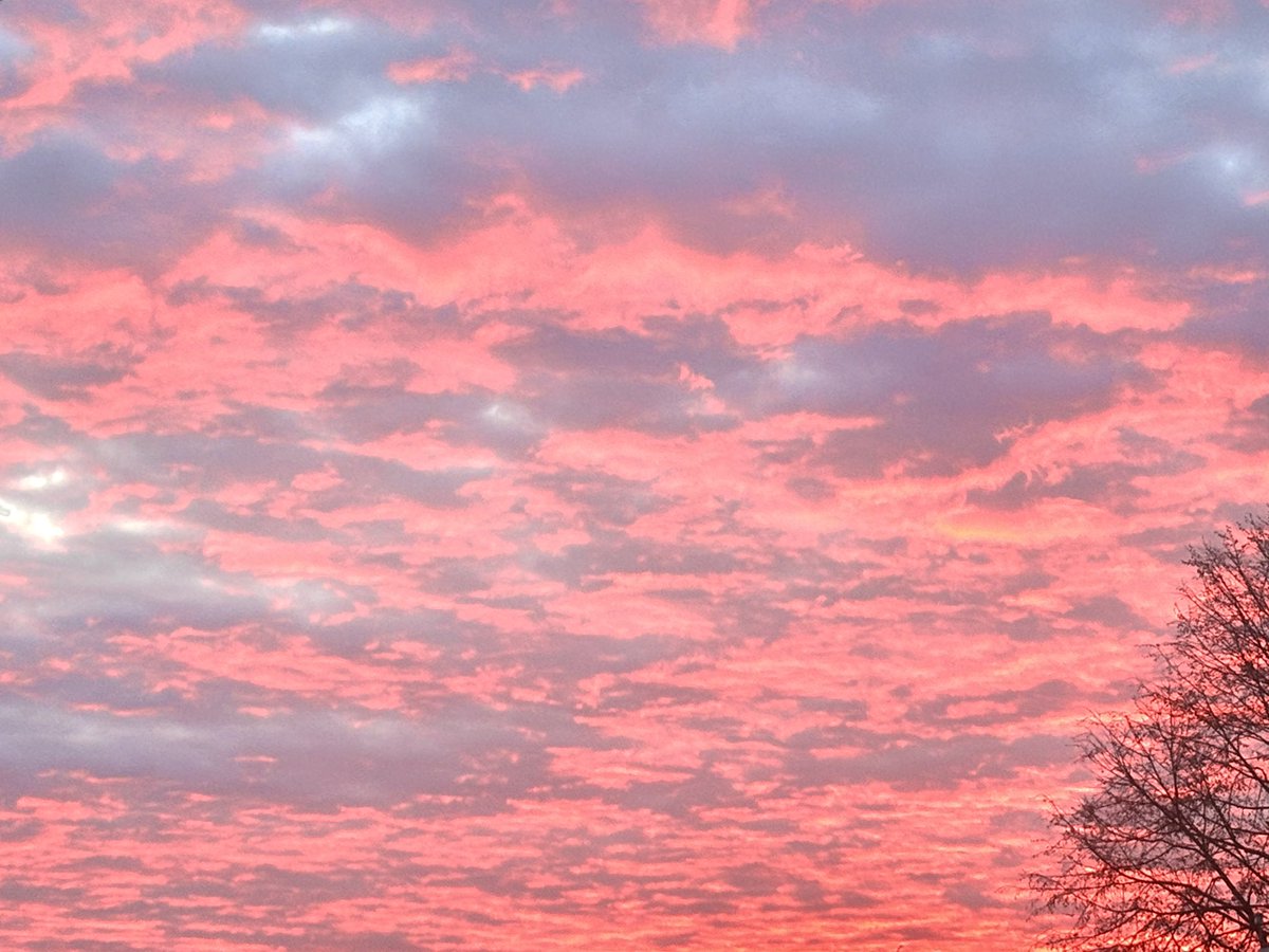 🩹Sky ||shtwt tweet media