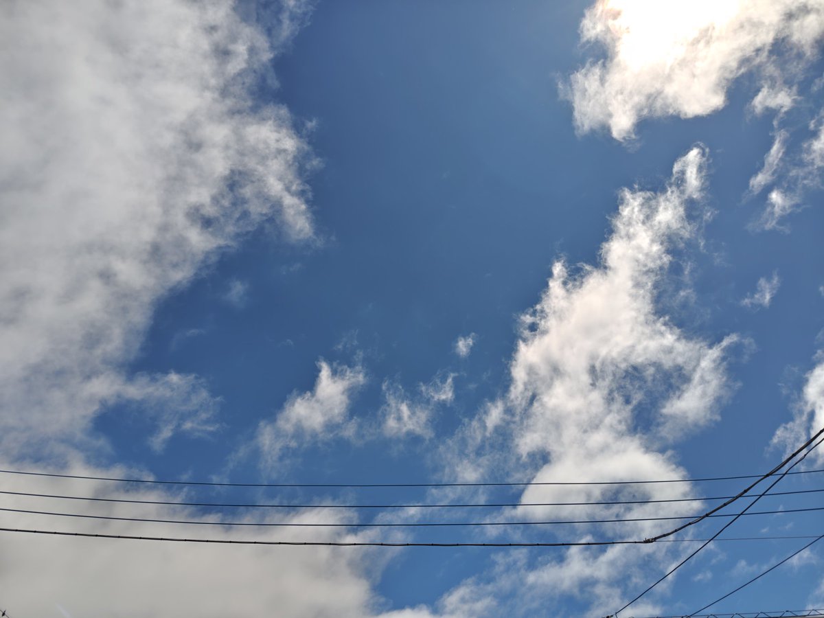 智美 tweet media