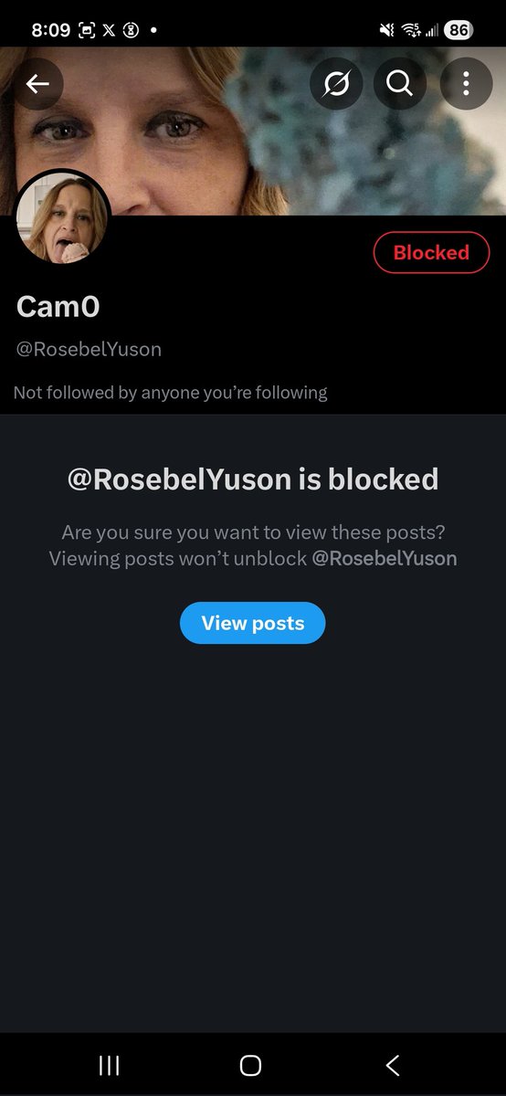 cam tweet media