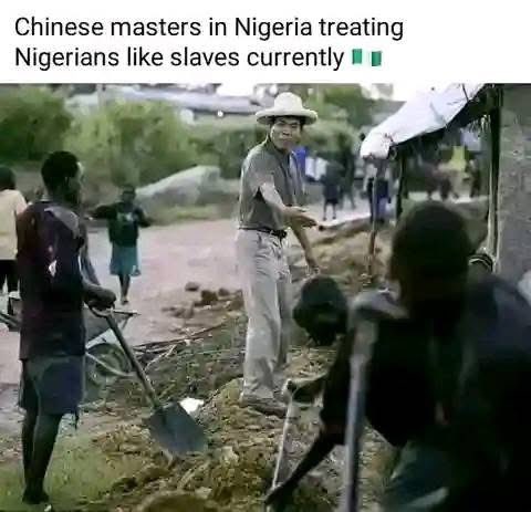 Rough Neck tweet media