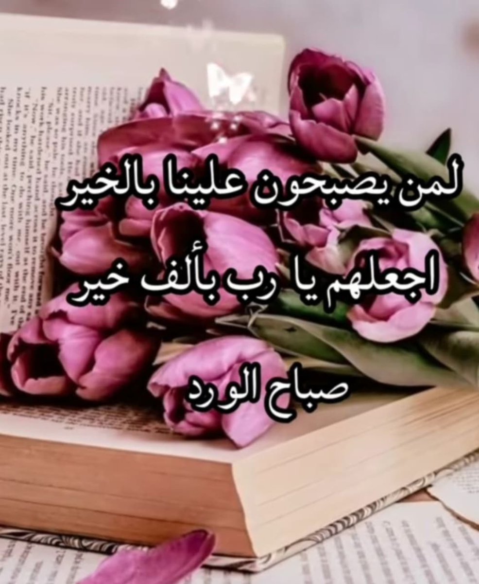 mm🪴🩵محمد tweet media