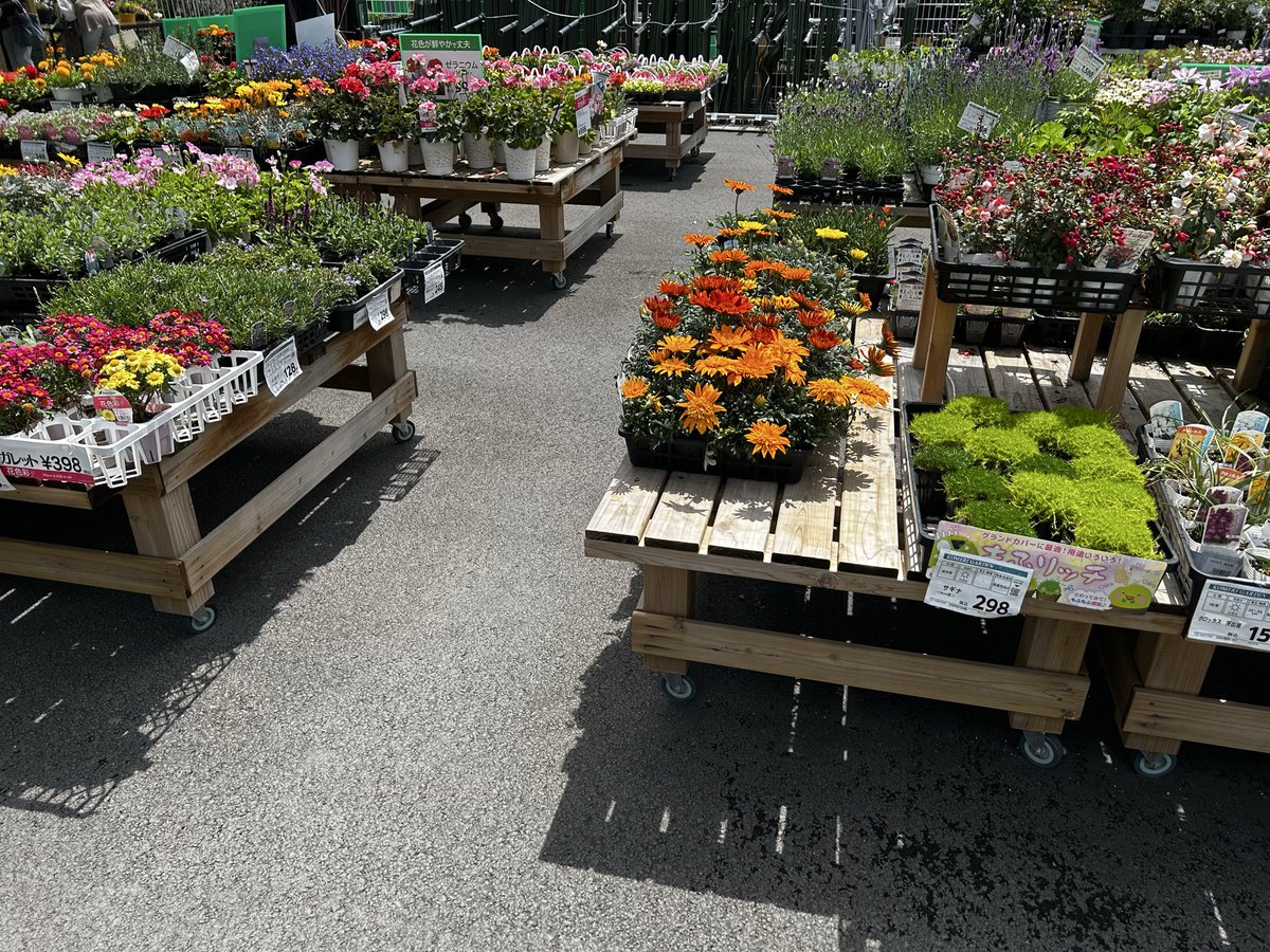 よっち tweet media