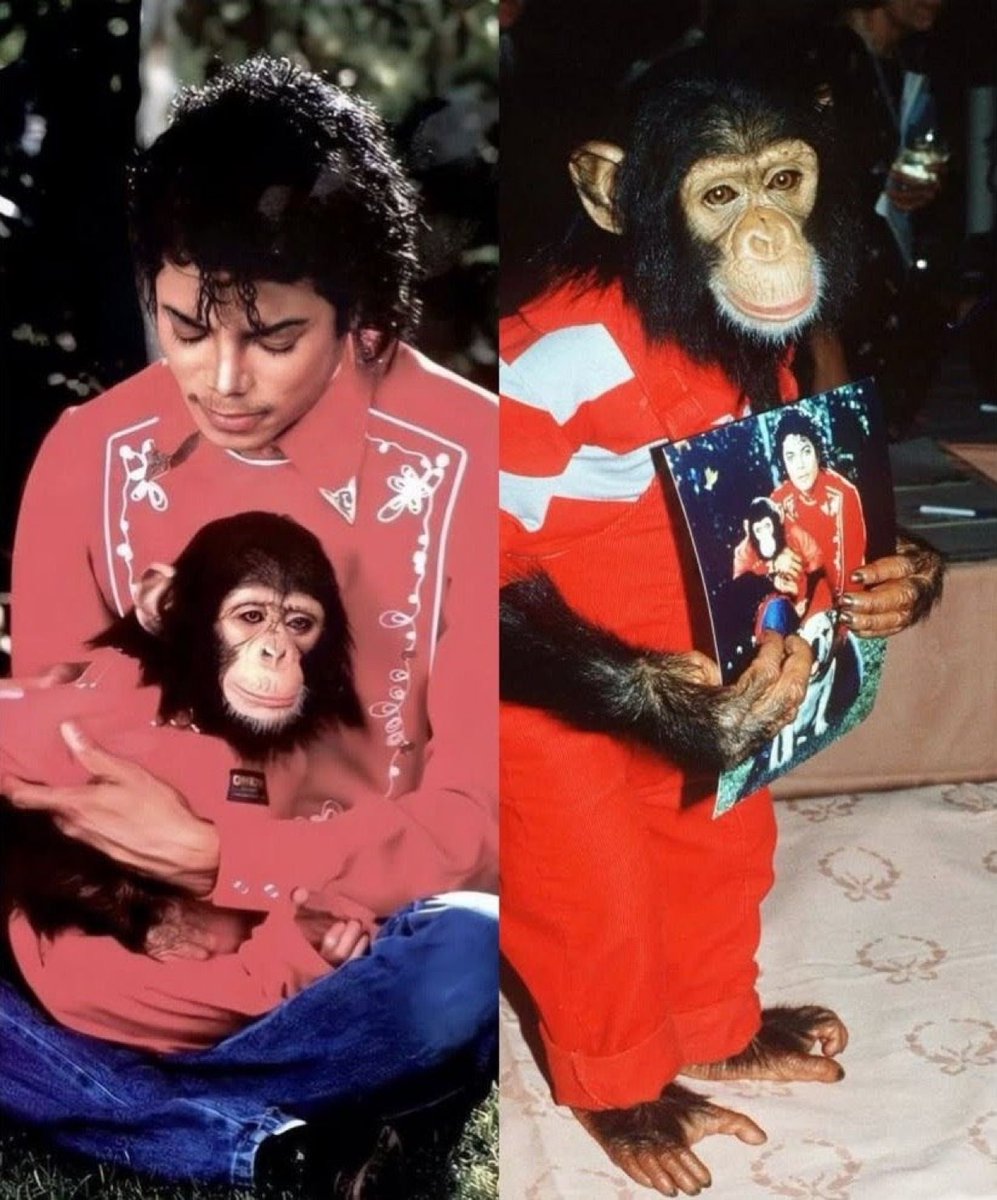 YabaLeftOnline tweet media