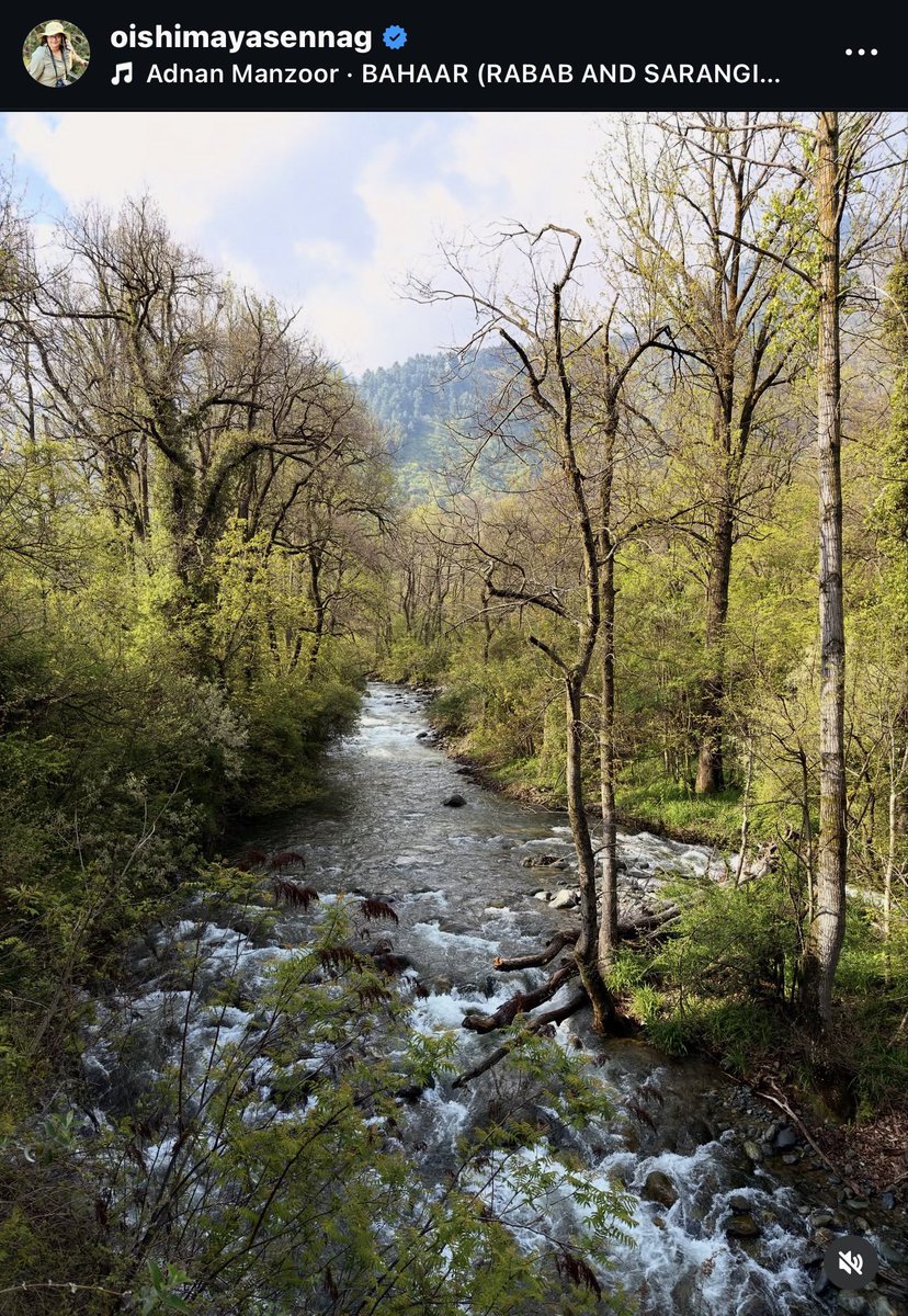 deepanwita_t's tweet image. Beautiful day with a photo from Dachigam National Park by @DrOishimaya #Kashmir
