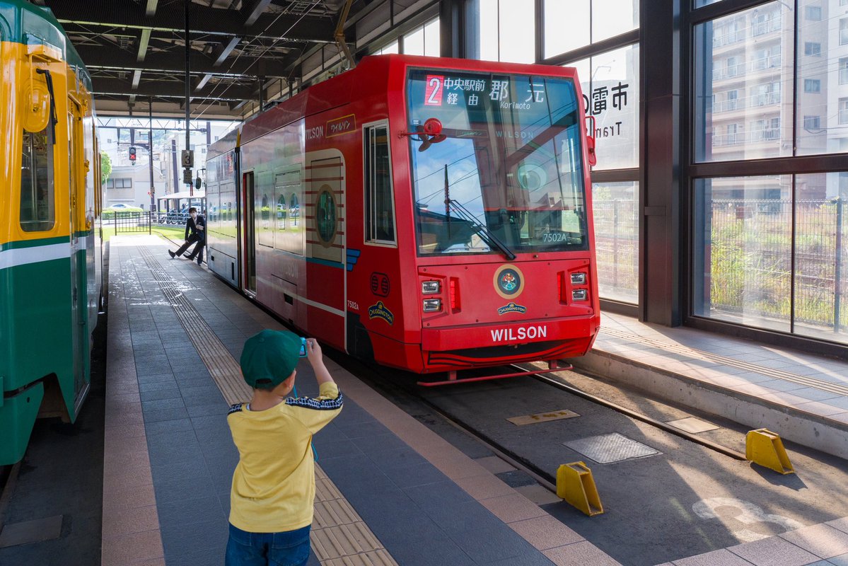 鹿児島市公式 tweet media