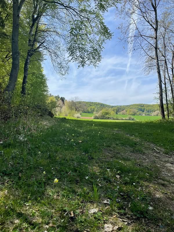 𝖠𝗇𝗍𝗃𝖾 tweet media