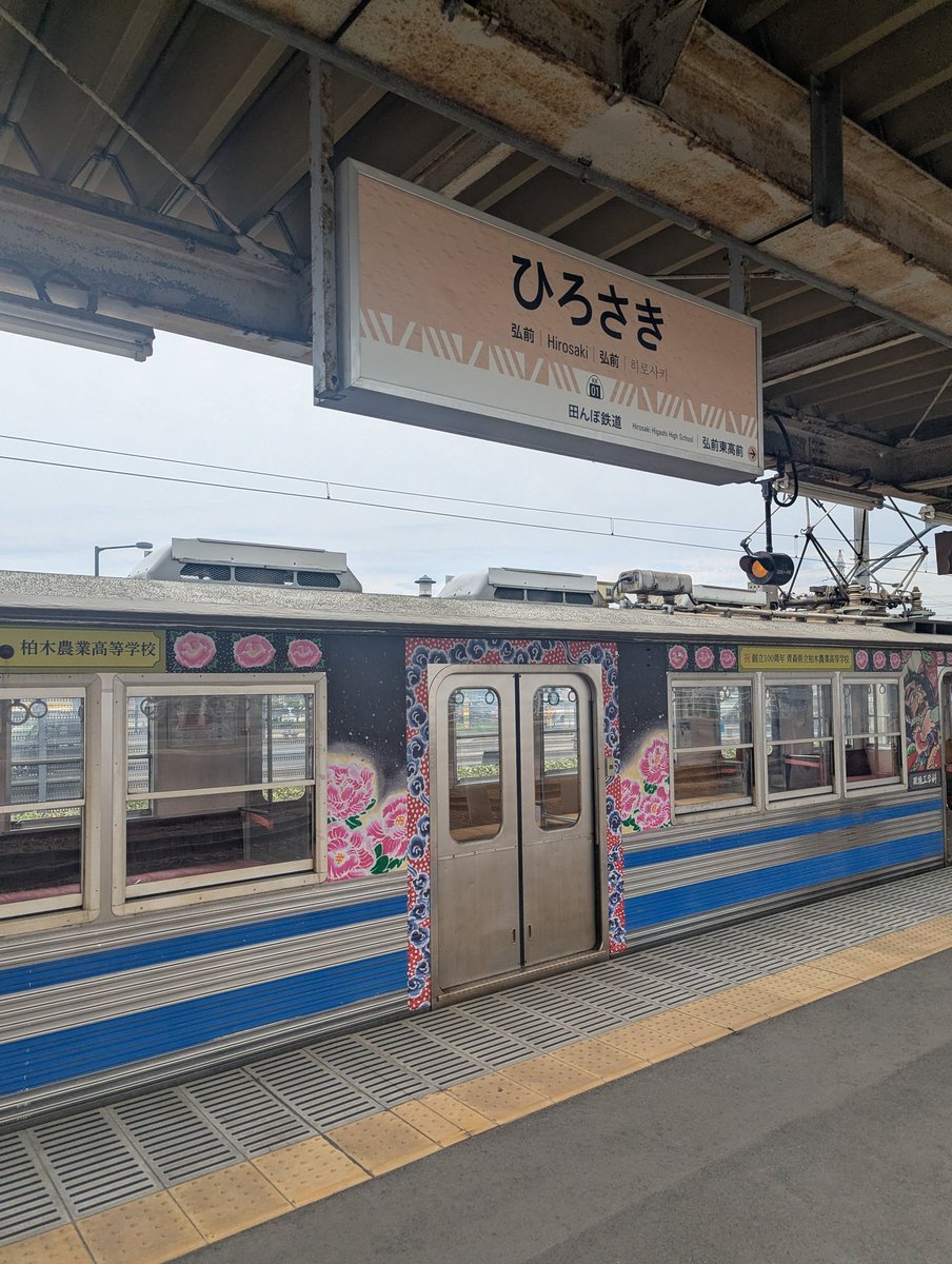 "にょる。" tweet media