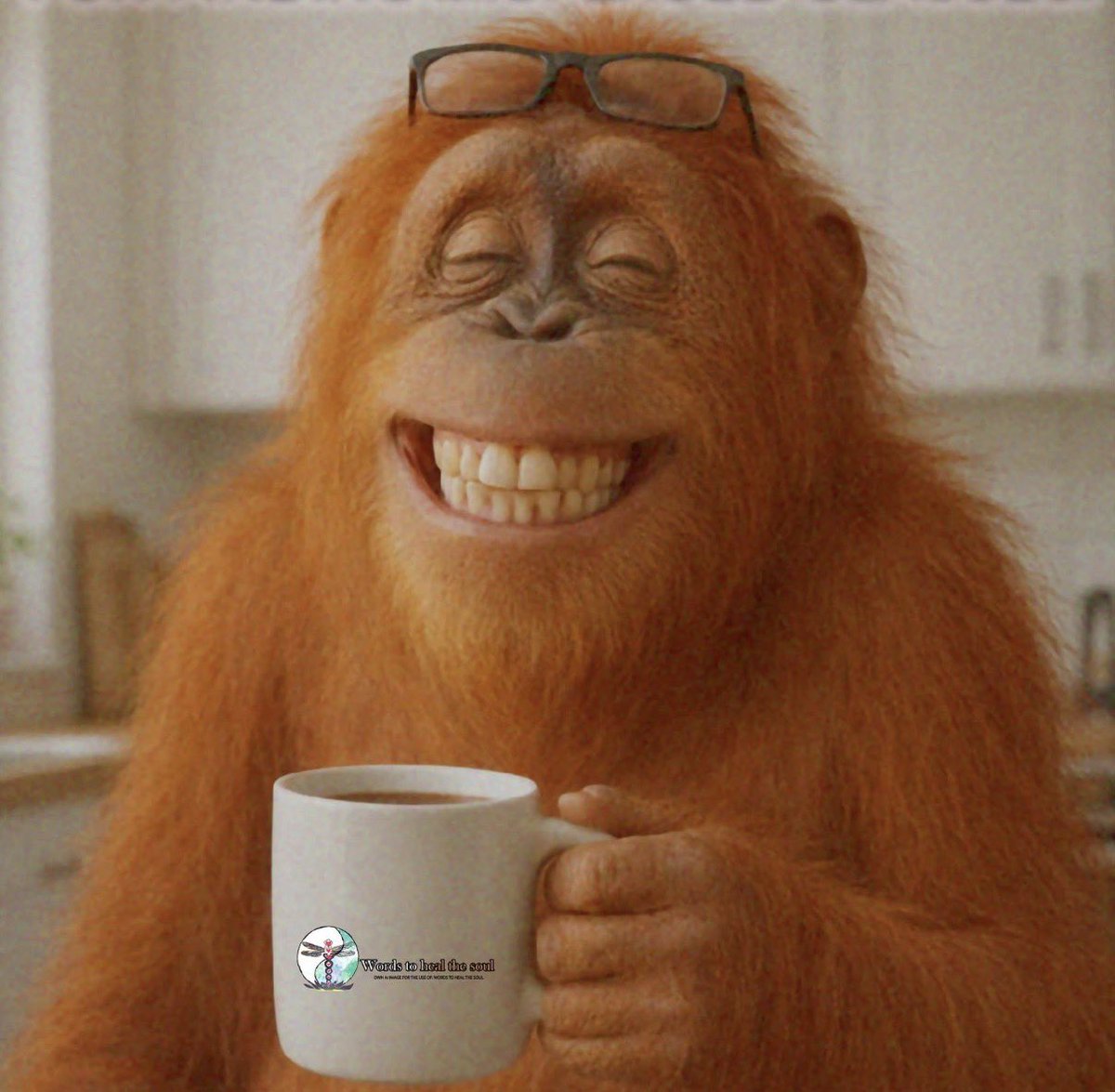 𝖠𝗇𝗍𝗃𝖾 tweet media