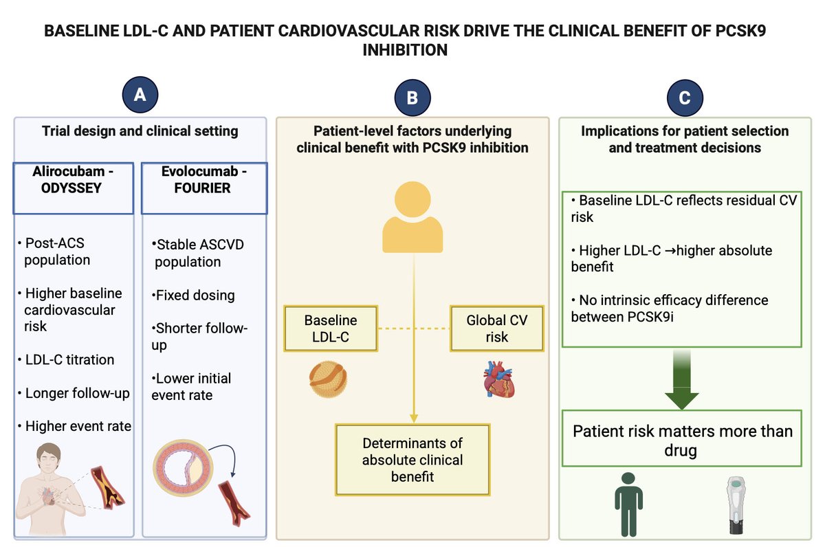 Twinkle xu tweet media