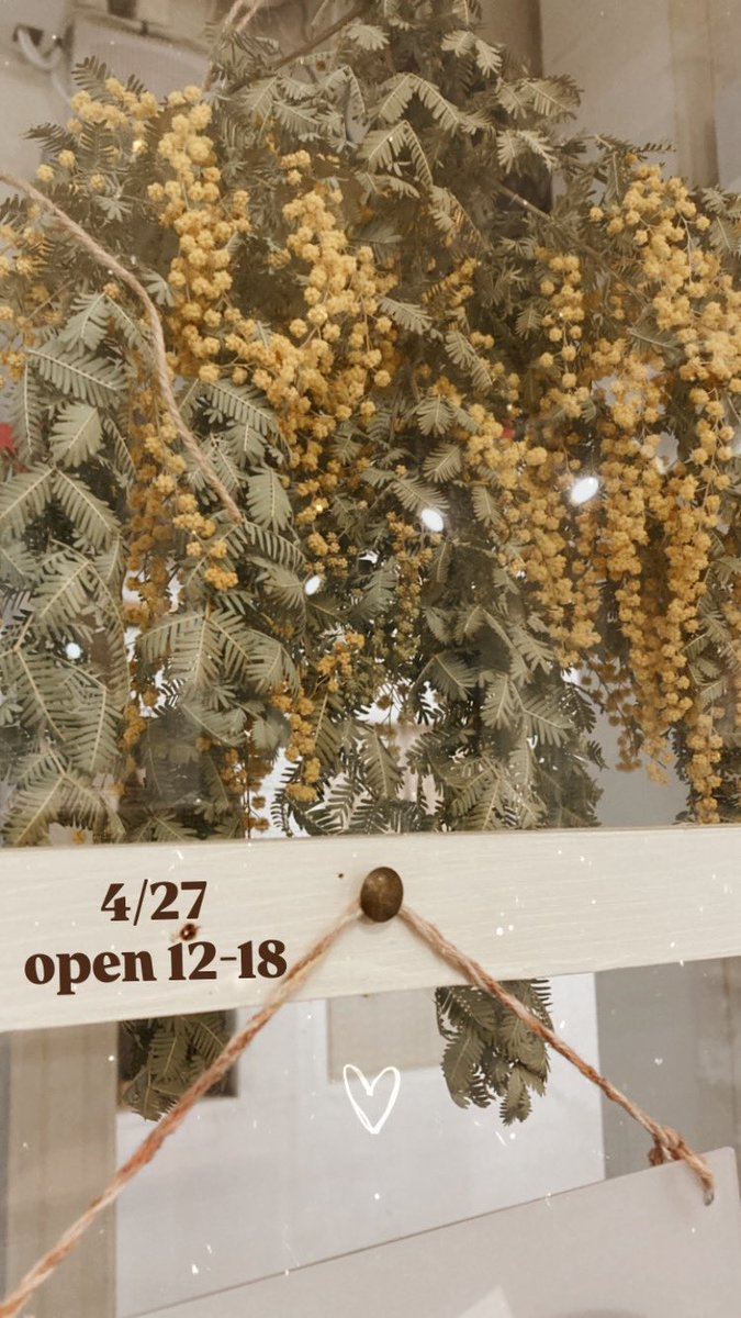 こんにちは！
もうそろそろ花粉終わったのでは……と油断していると、顔のあちこちが痒くなる🥲🥲もう終わってくれ〜><

本日もopenしておりますよ〜💪