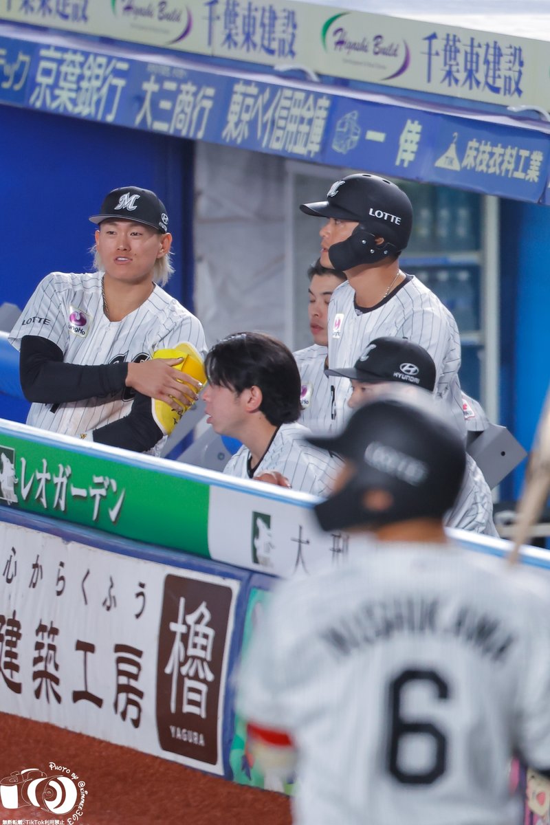 おはぎ。 tweet media