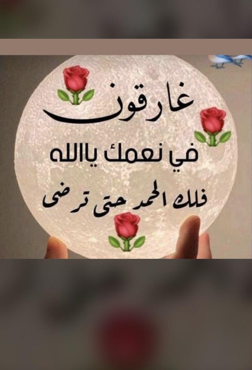 جمال الصبح ليس في شروق الشمس فحسب بل في شكرًا الله سبحانه على انه وهبنا  يوم اخر في هذه الحياة نذكر فيه احبابنا  ونتواصل معهم صباح الشاكرين ،،،،الحامدين🌞  🌼🌿⁧