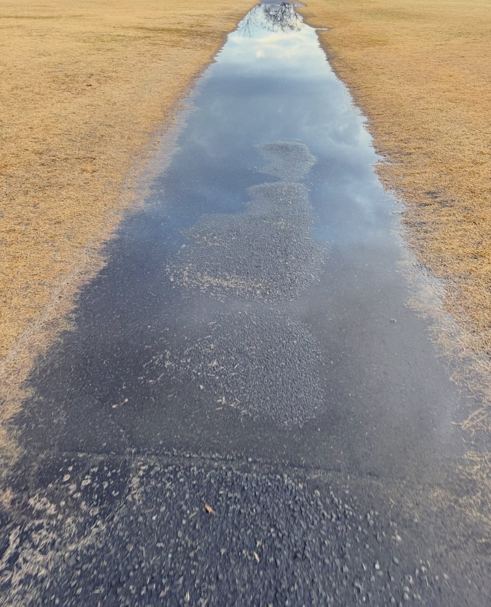 ariP_info's tweet photo. 負けないのは気分屋よりも習慣屋でした

要は思い通りにならない状況でいつも通り動ける人が全部負けないんですよね

晴れの日は
誰でも頑張れます

でも

大雨の日は
ほとんどの人がサボっちゃいます

だからこそ、そのタイミングで差がつくんですよね

だから僕は今朝の大雨でも変わりなく

朝イチから
いつも通りトレーニングやり切ってます

🏃‍♂️🏃‍♀️ジョギング＆ウォーキング
⌚️1時間50分54秒
🛣️11.86km
🔥804kcal

🏋️🧘筋トレ＆ストレッチ
⌚️45分26秒
🔥257kcal

気分でやる
習慣でやるか

この差がそのまま

“結果の差”になります

大雨（≒トラブル時）でもブレない人が

結局一番強いです🤗

それでは、朝から頑張った人はランチ後にちょっと昼寝しましょう😴