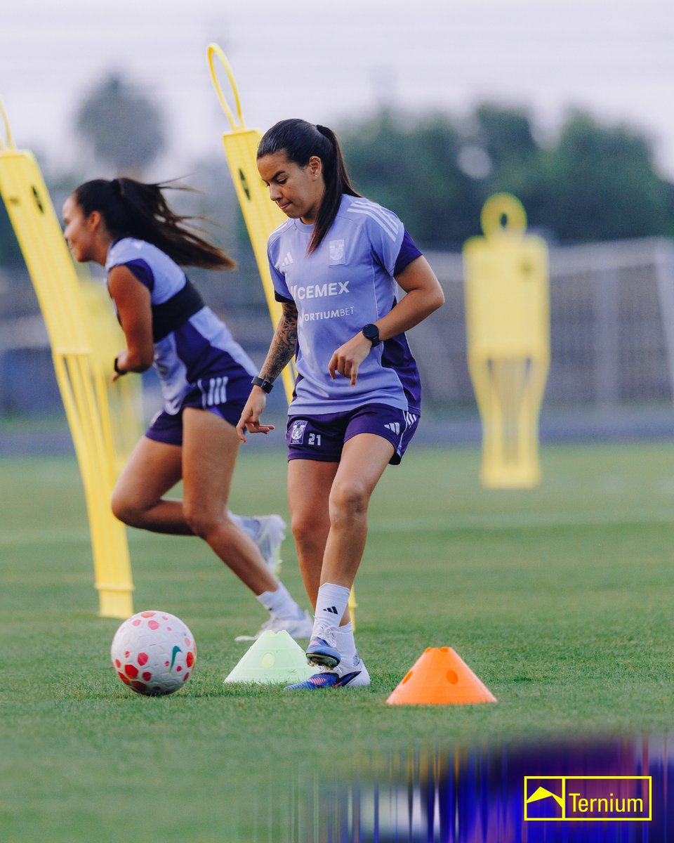 👊🐯 Enfocadas en el siguiente objetivo.

<a href="/Ternium/">Ternium</a>