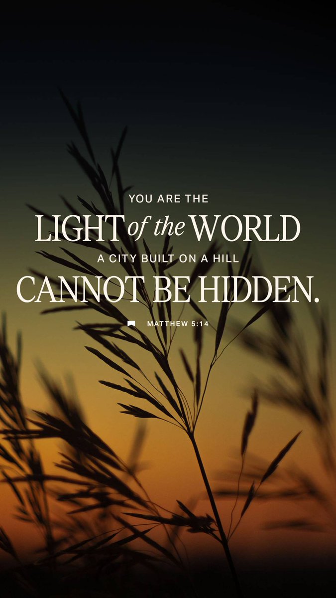 Rattler Kountry 🧡🐍💚 tweet media