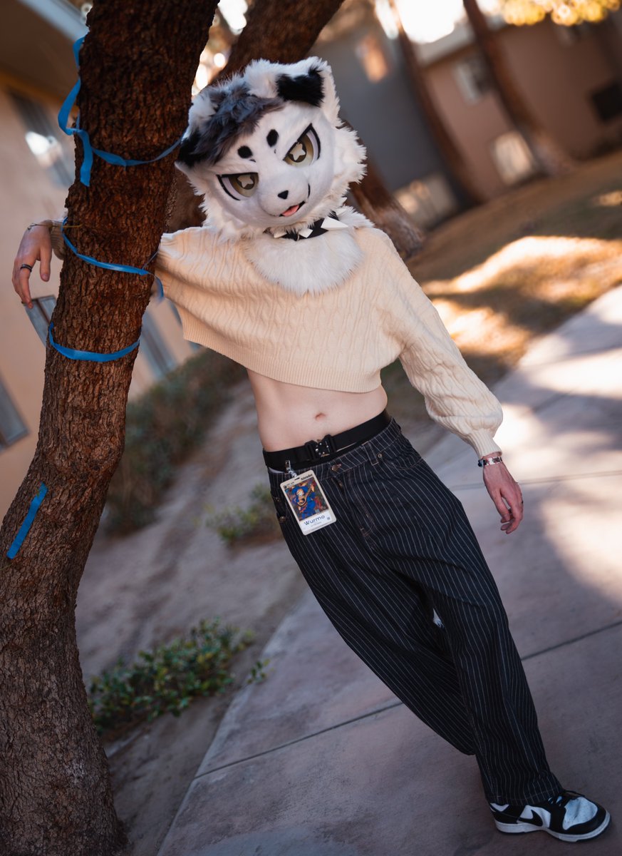 wurmo 🔜 FWA tweet media