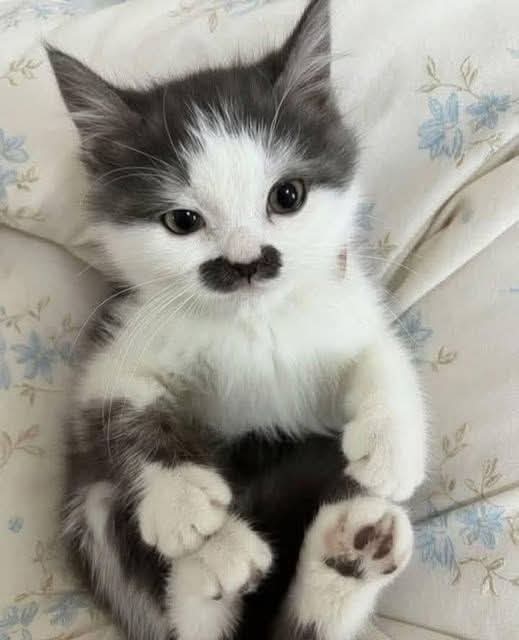 Jessica ❤️ tweet media