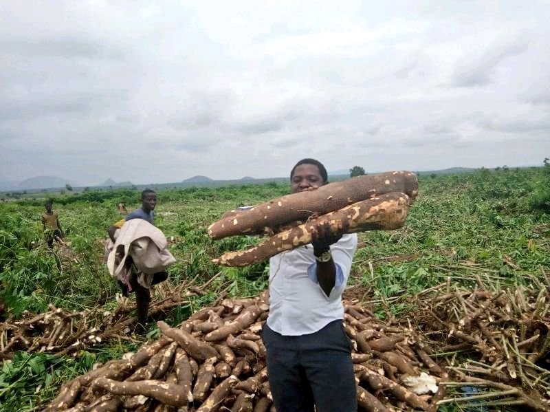 Founder of GIB farm (Albert) tweet media