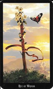 alanreadstarot's tweet image. First card out in my daily Tarot spread for me today: the Ace of Wands - Aces are for new beginnings and Wands for fire signs and the passions that float your boat. A chance today to rise up and start again #tarot #tarotcards #tarotreading #cotd