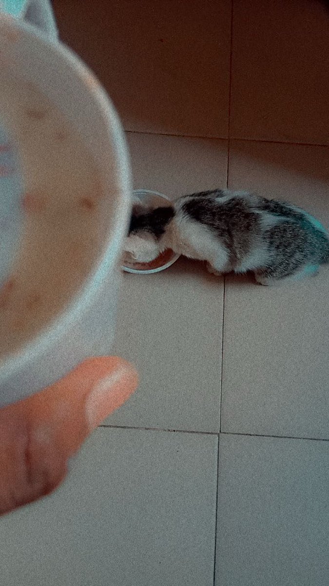 KHALIFA ✍️ tweet media