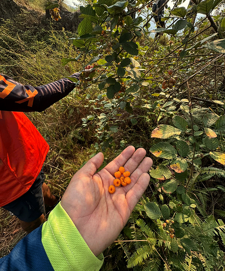 Sujan_Mhrjn's tweet image. From Cycling Plan to Unexpected Jungle Hike – Tarkeshwar Mahadev Adventure. @askyentra 
yentra.com/threads/from-c…

#Visitnepal #Biking #Hiking #adventure