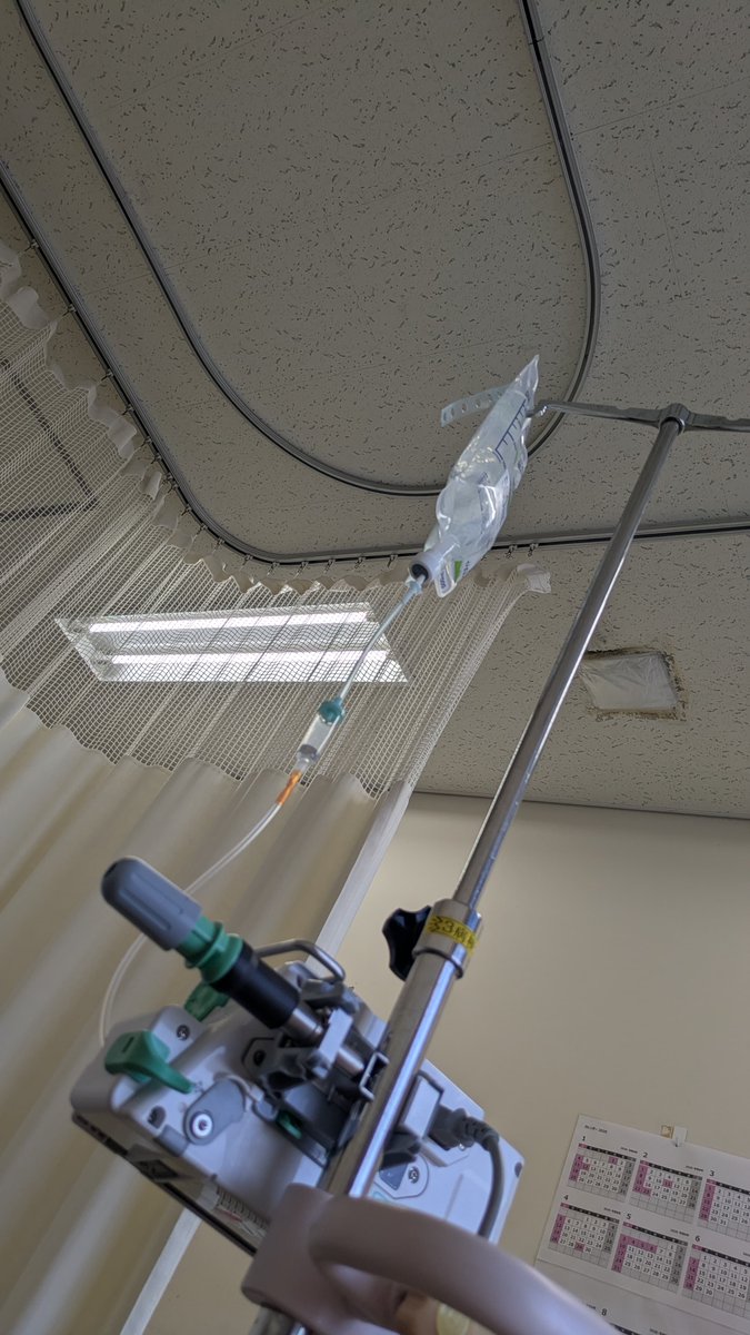 日和山（ひよりやま） tweet media