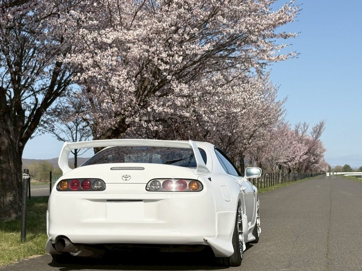 piccolo_DLF33's tweet photo. 北海道でも桜が満開になりました🌸

スープラも完成間近👀 https://t.co/VTsk0RQCYU