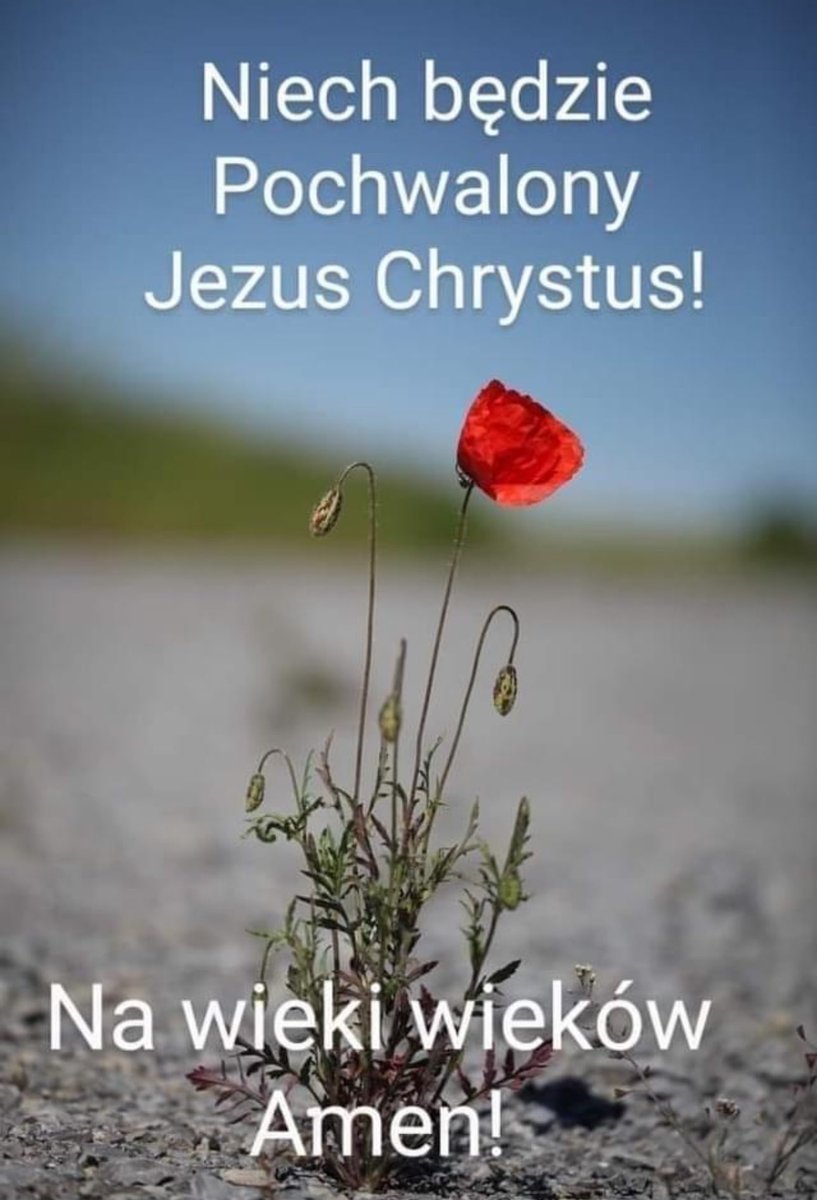 ks. Marek Jan Pytko tweet media