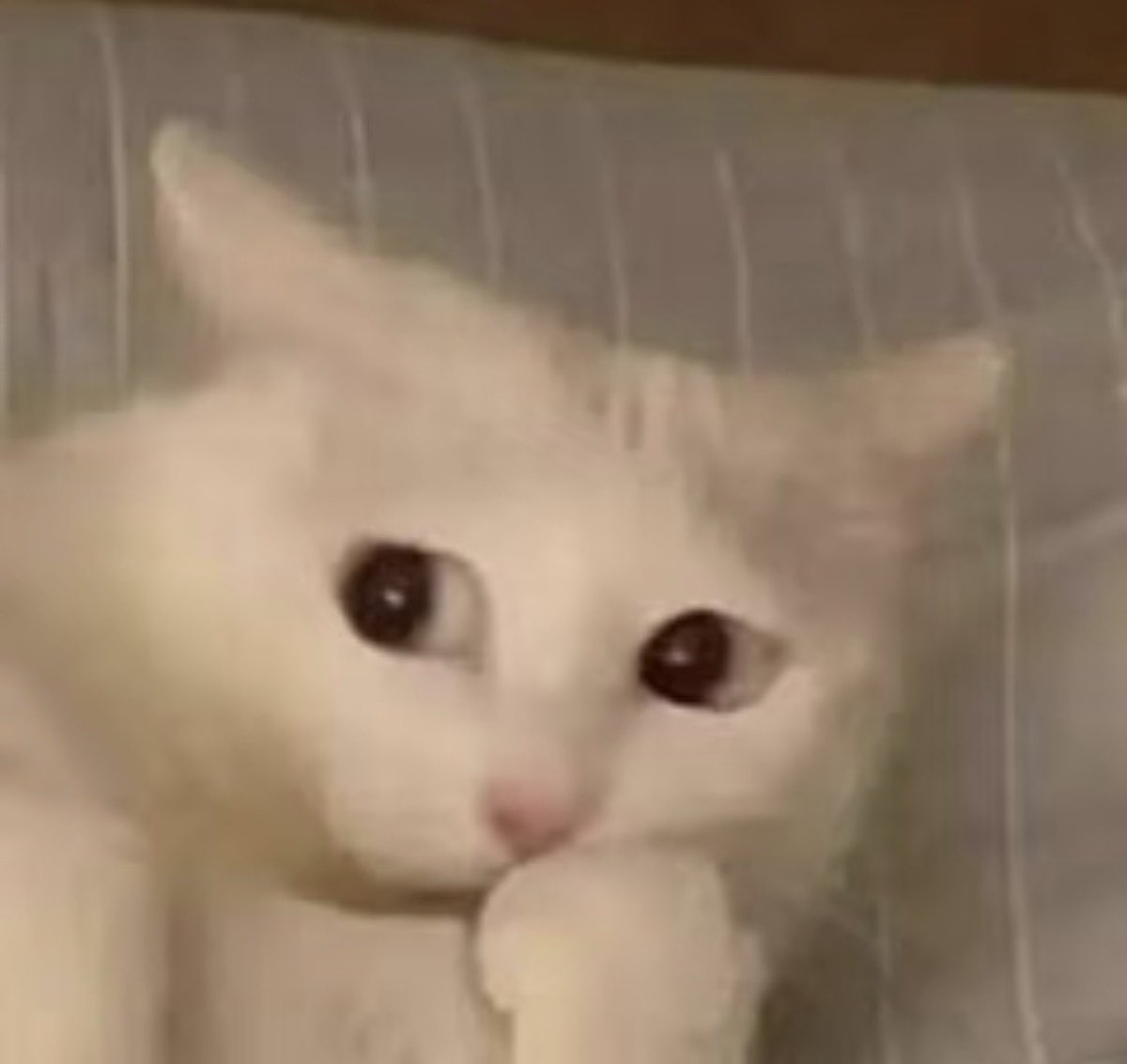 this acc will make u happy tweet media