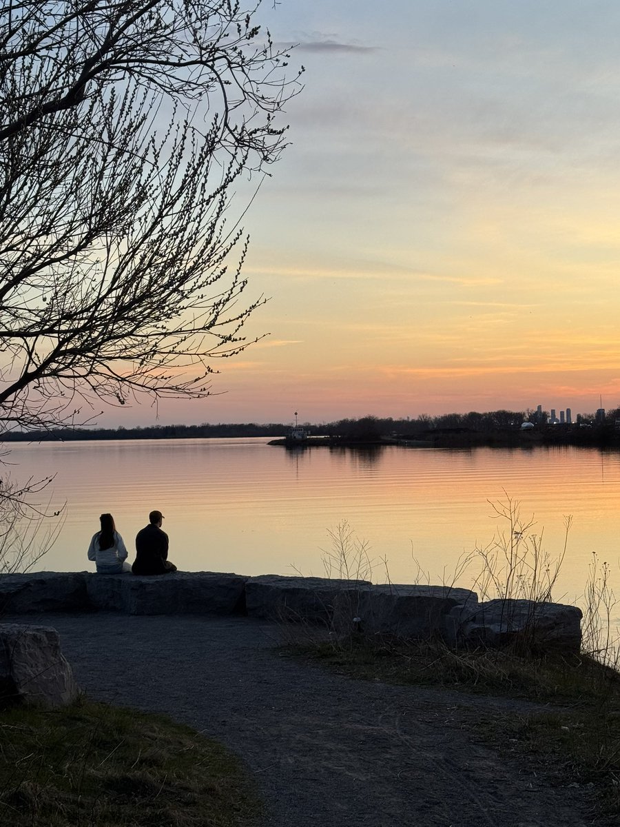 thisismahsarajabi tweet media