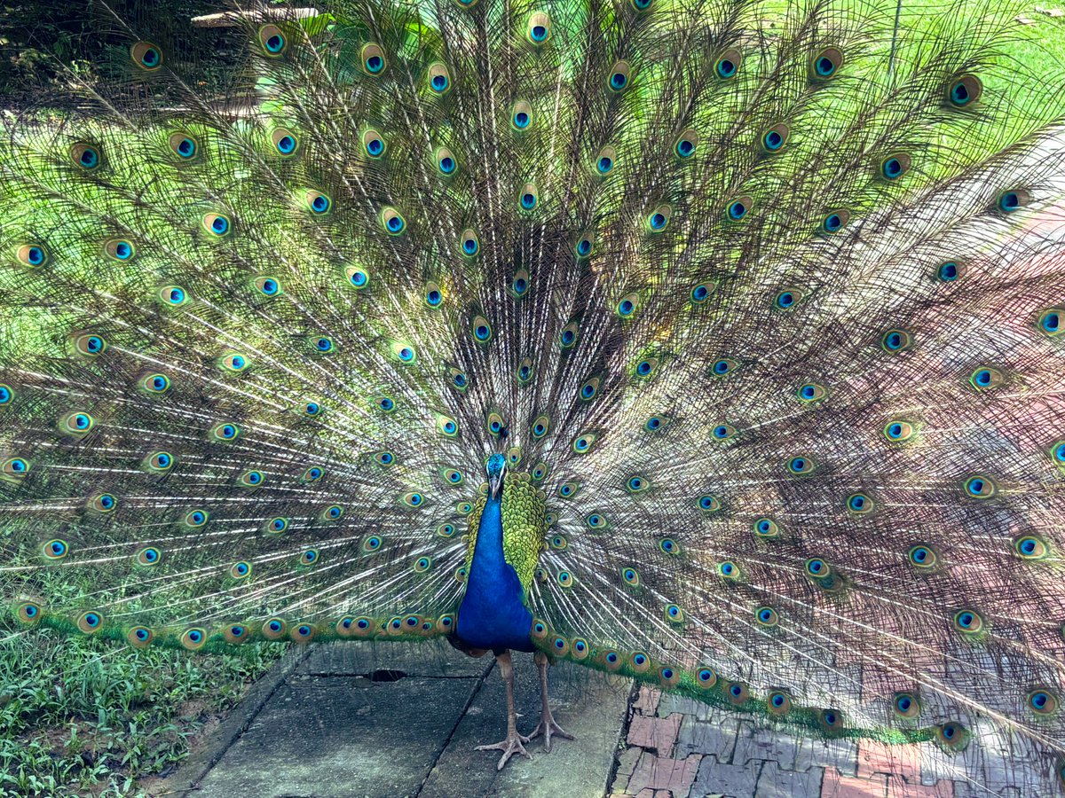 ゆき⛄️信長出陣 tweet media