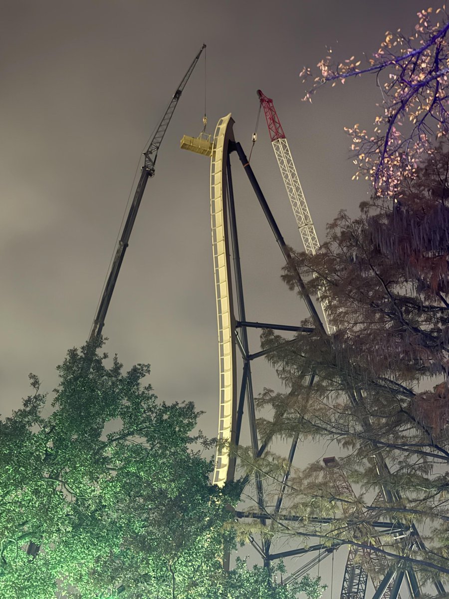 David in D/FW, Texas 🇺🇸🙏🇮🇱 tweet media