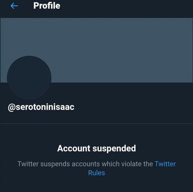 dinosaur tweet media