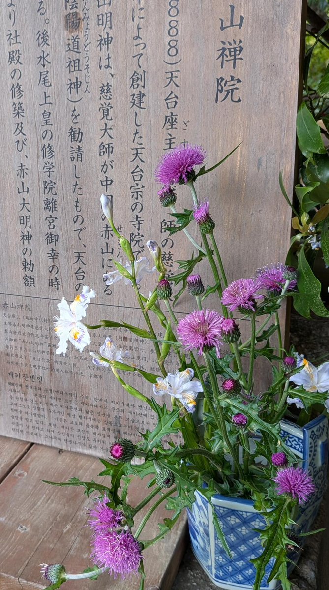 前田大樹 tweet media
